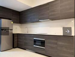 Sims Urban Oasis (D14), Condominium #500219901